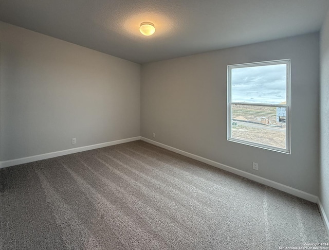 unfurnished room with carpet and a textured ceiling