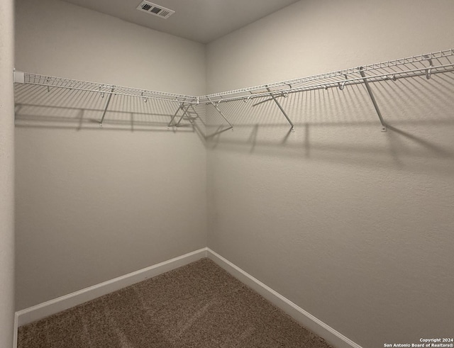 walk in closet featuring carpet