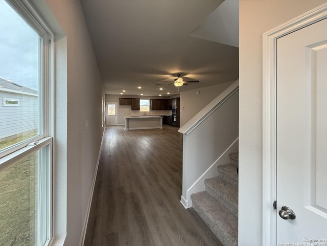 interior space featuring ceiling fan and wood-type flooring