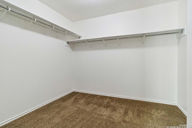 spacious closet with dark colored carpet