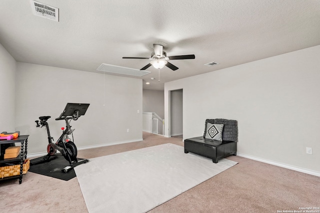 exercise room with light carpet and a textured ceiling