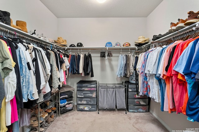 spacious closet with carpet floors