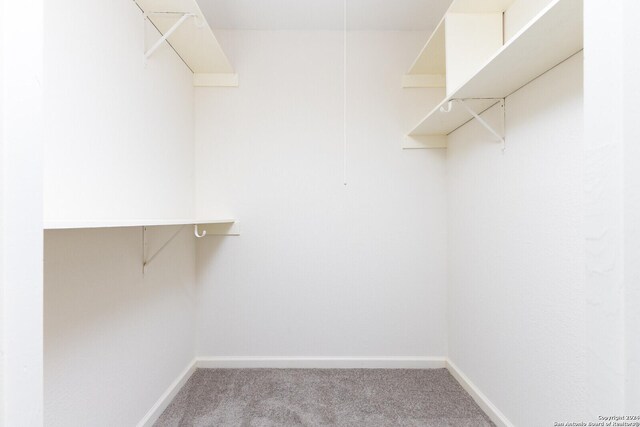 spacious closet with carpet