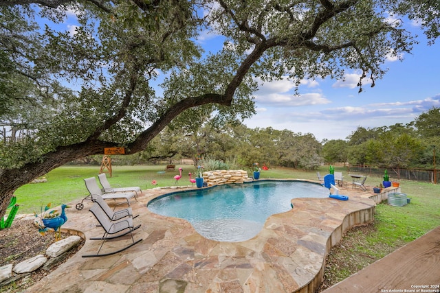 view of swimming pool with a patio area and a yard