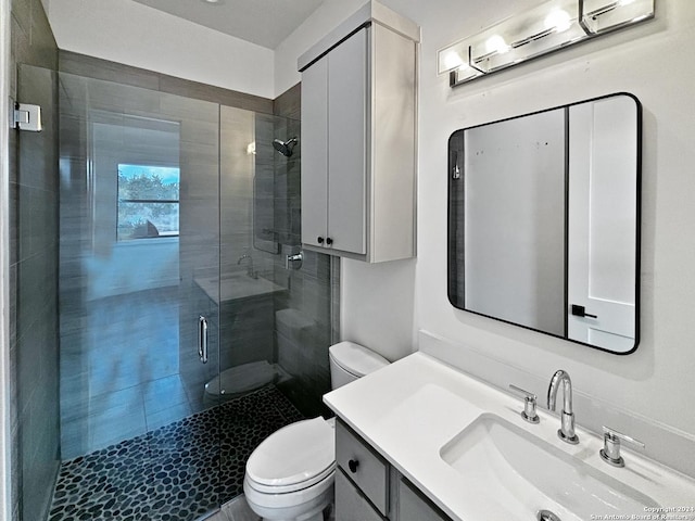 bathroom with vanity, a shower with shower door, and toilet