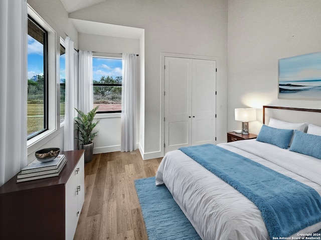 bedroom with a closet, light hardwood / wood-style flooring, and multiple windows