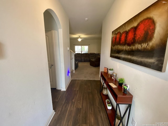 corridor featuring dark hardwood / wood-style flooring