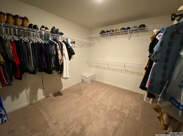 walk in closet featuring light colored carpet