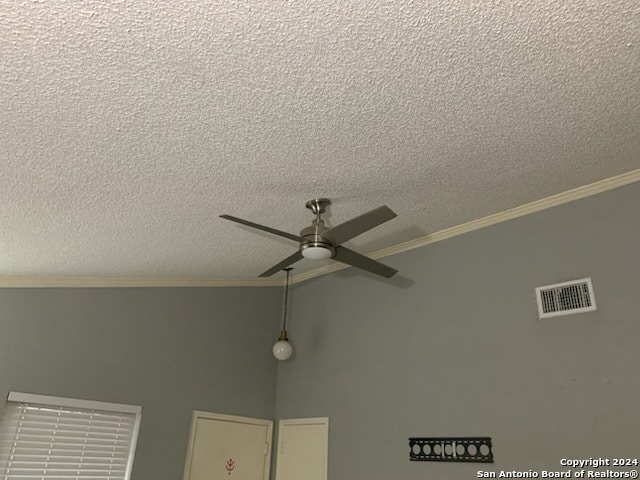 interior details featuring ceiling fan, ornamental molding, and a textured ceiling