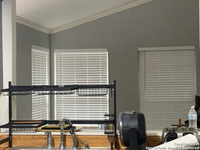 exercise room with a textured ceiling, sink, lofted ceiling, and crown molding