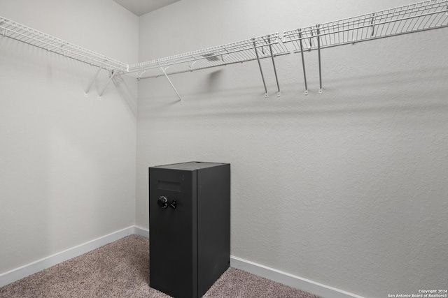 walk in closet featuring carpet floors