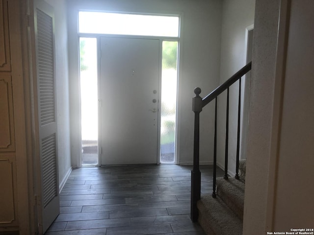 foyer entrance featuring a wealth of natural light and dark hardwood / wood-style floors