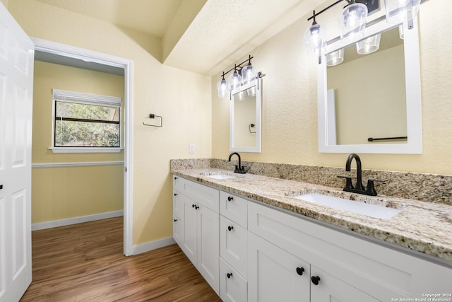 bathroom with vanity and wood-type flooring