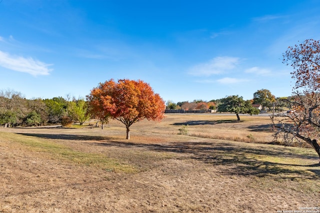 view of yard featuring a rural view