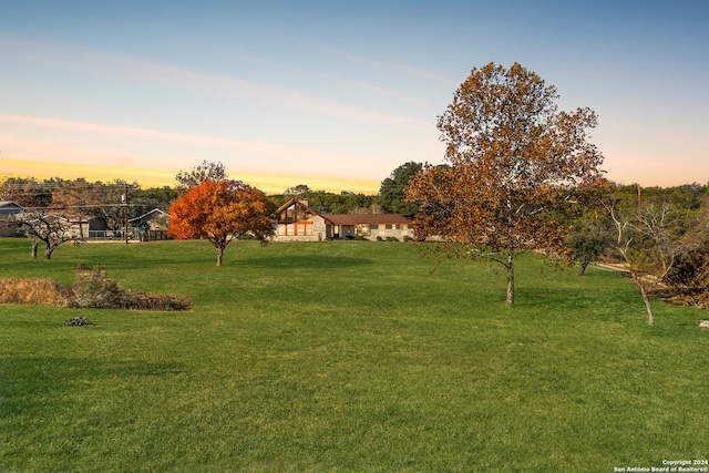 view of yard at dusk