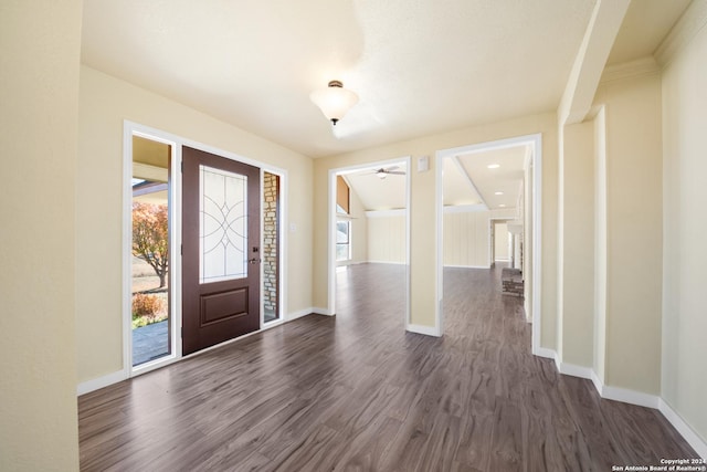 foyer with dark hardwood / wood-style flooring