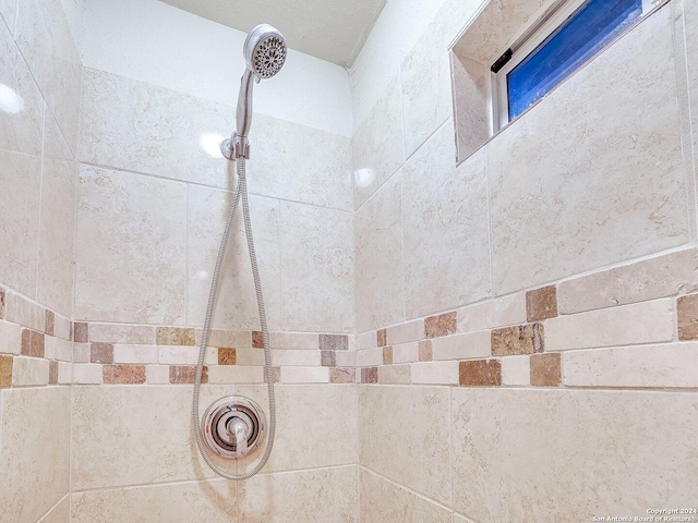 room details with tiled shower