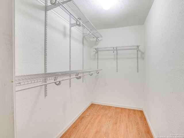 spacious closet featuring light wood-type flooring