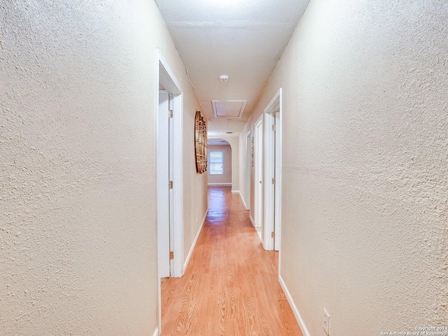 hallway with light hardwood / wood-style floors