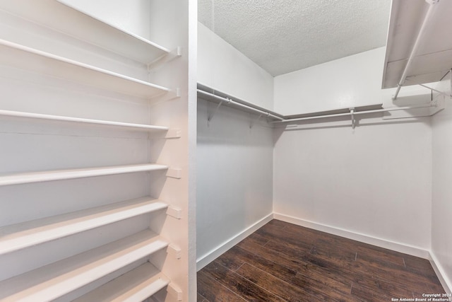 walk in closet with dark hardwood / wood-style flooring