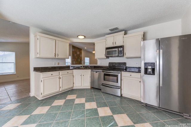 kitchen featuring a textured ceiling, lofted ceiling, sink, and appliances with stainless steel finishes