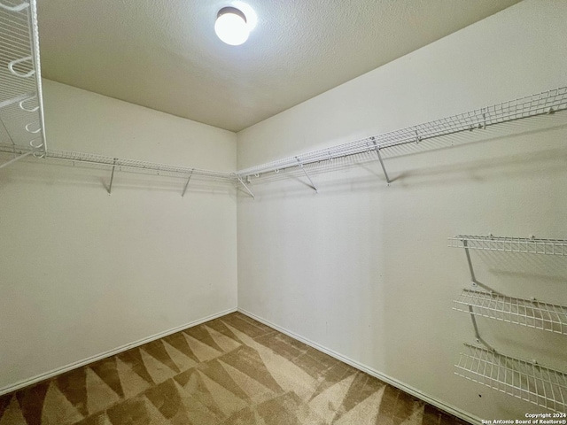 spacious closet featuring carpet flooring