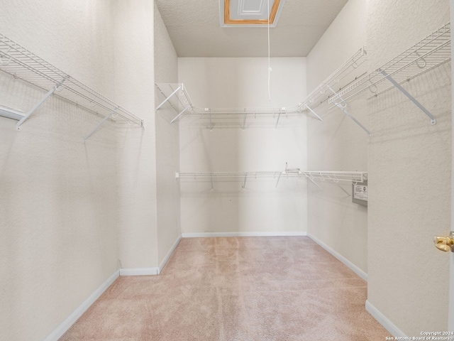 walk in closet featuring light carpet