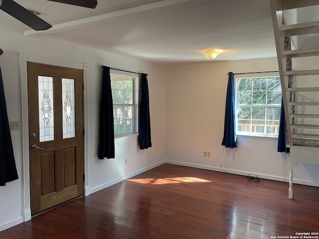 entrance foyer with dark hardwood / wood-style floors, a wealth of natural light, and ceiling fan