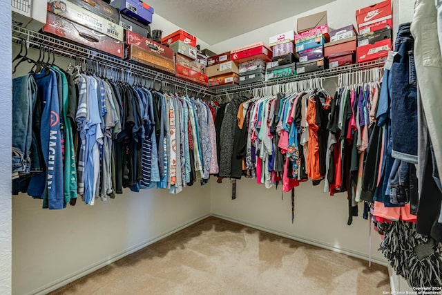 spacious closet featuring carpet