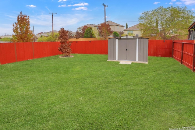 view of yard featuring a shed