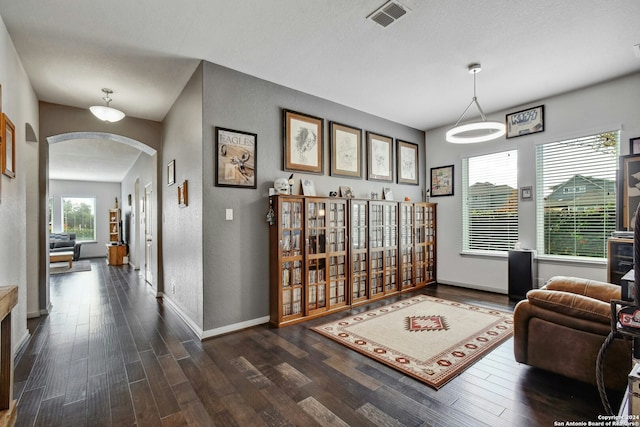 interior space with dark hardwood / wood-style floors