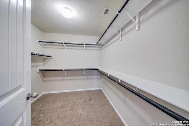 walk in closet featuring light colored carpet