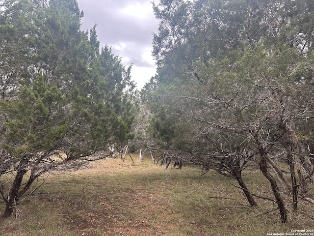 Listing photo 2 for LOTS1-3 Indian Trl, Pipe Creek TX 78063