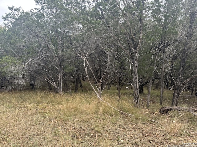 Listing photo 3 for LOTS1-3 Indian Trl, Pipe Creek TX 78063