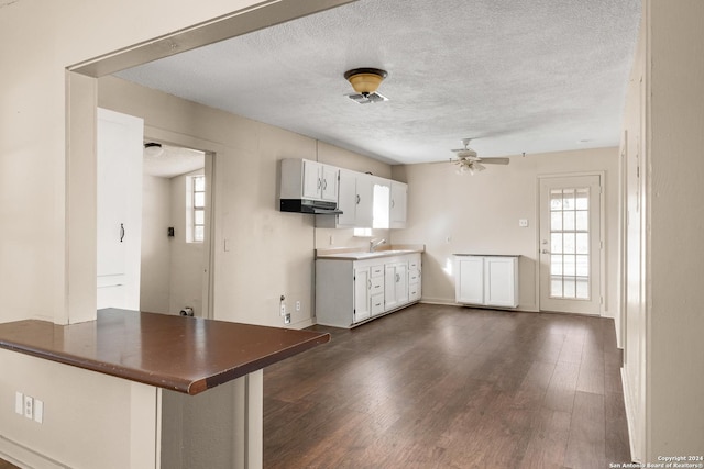 kitchen with white cabinets, dark hardwood / wood-style floors, kitchen peninsula, and a healthy amount of sunlight