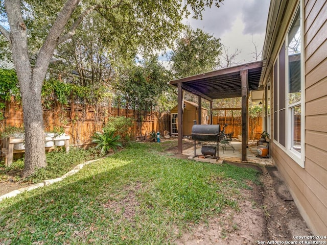 view of yard with a patio and a shed