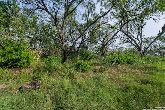 Listing photo 3 for TBD W Jett Rd, San Antonio TX 78264