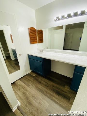 bathroom with vanity and wood-type flooring