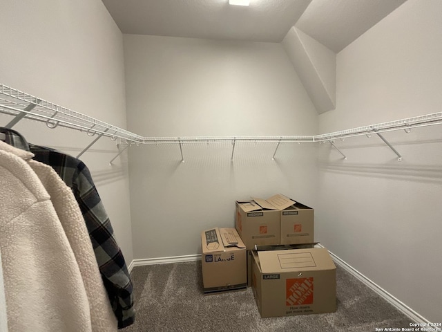 spacious closet featuring dark carpet