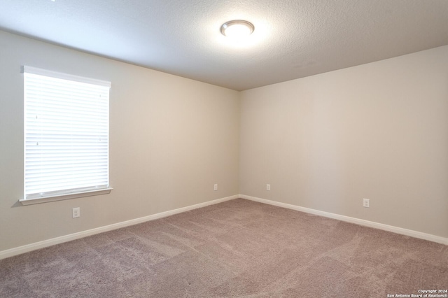 spare room with carpet, a textured ceiling, and a wealth of natural light