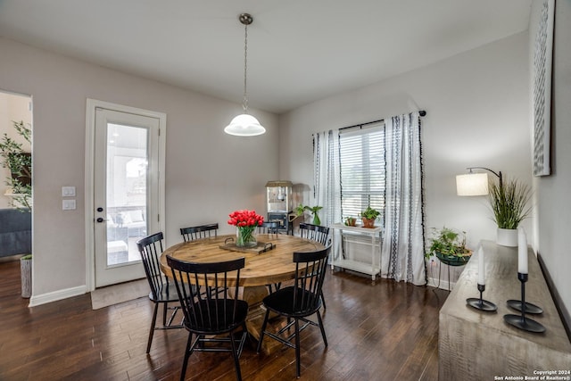 dining space featuring a wealth of natural light and dark hardwood / wood-style floors