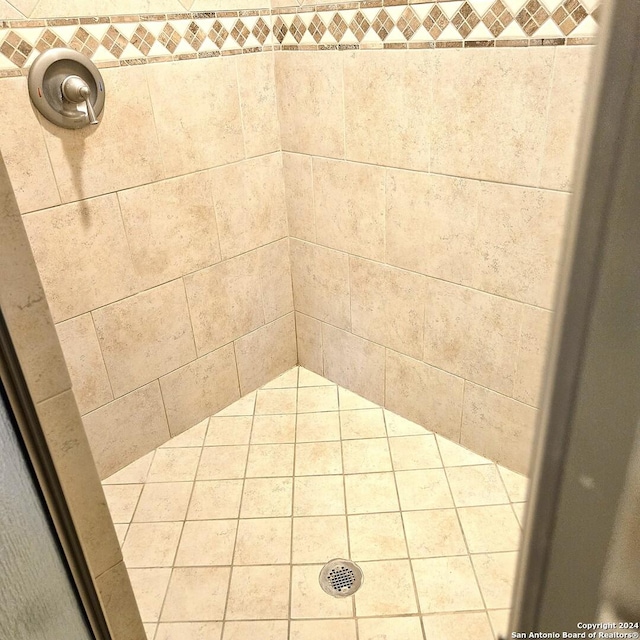 details with tiled shower