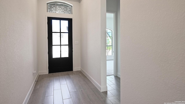 entryway featuring baseboards, a textured wall, a wealth of natural light, and wood finished floors