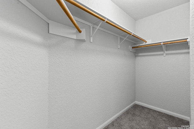 spacious closet with carpet flooring