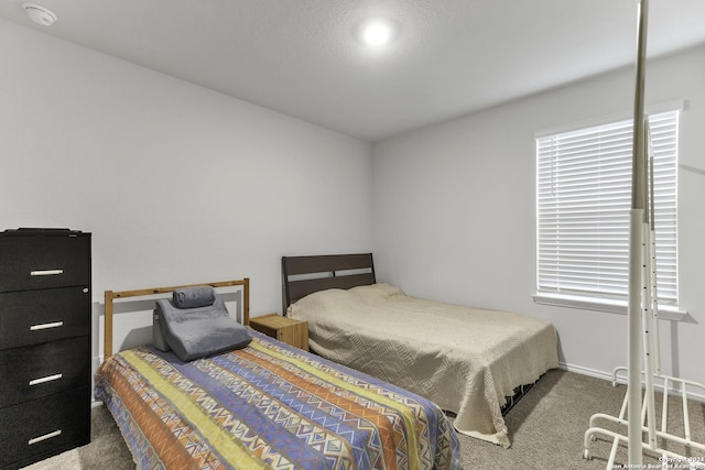 carpeted bedroom with multiple windows