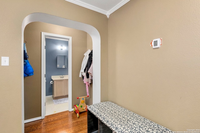 interior space with wood-type flooring and crown molding