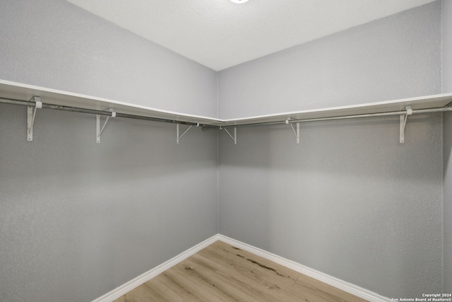 walk in closet with wood-type flooring