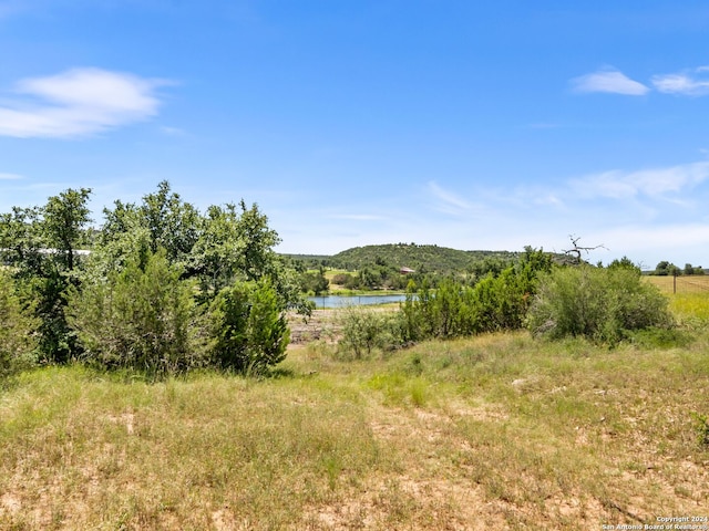 view of local wilderness featuring a water view