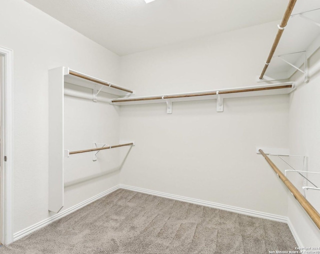 spacious closet featuring carpet floors