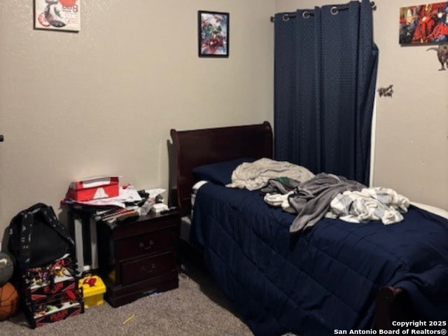 bedroom with carpet flooring